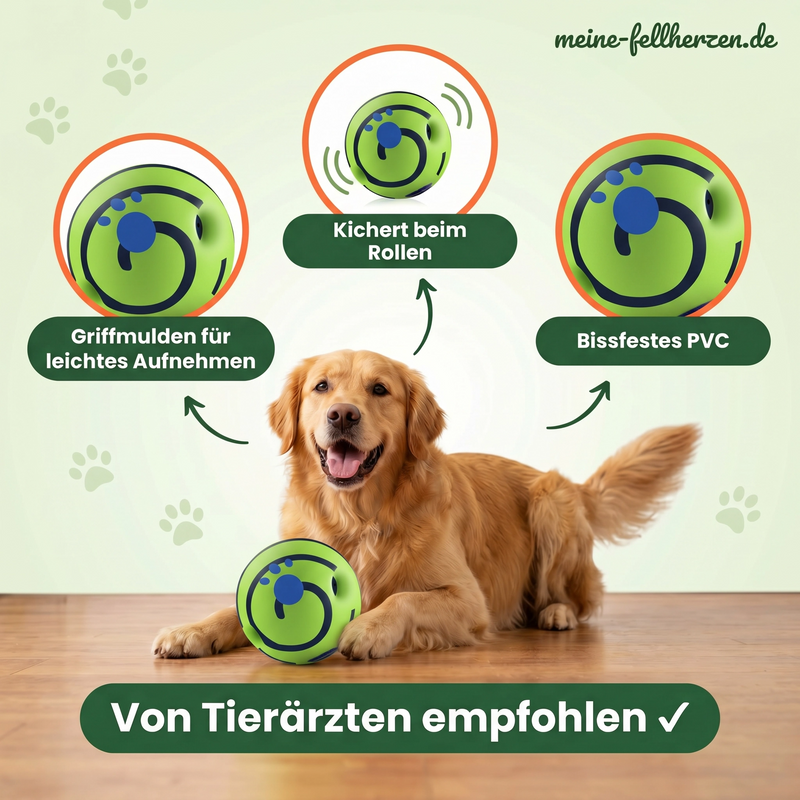Meine Fellherzen - Hunde Lachball