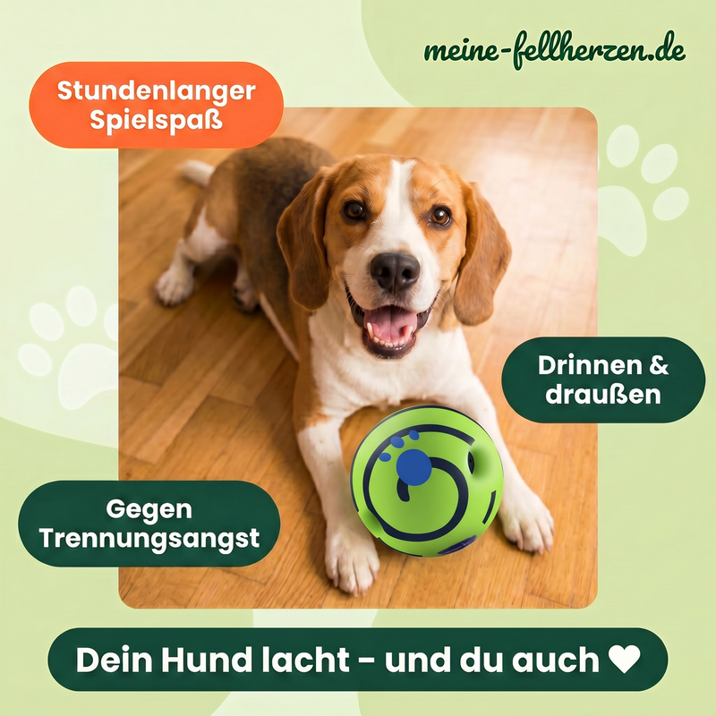 Meine Fellherzen - Hunde Lachball