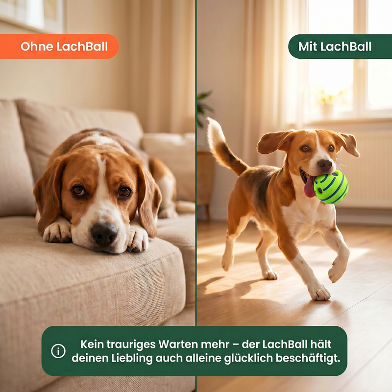 Meine Fellherzen - Hunde Lachball